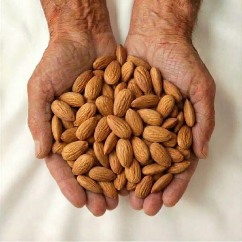 آجیل و خشکبار