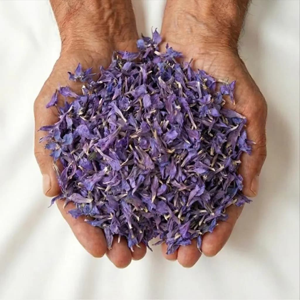 گیاهان دارویی