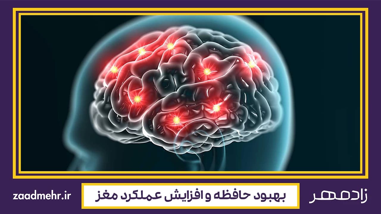 بهبود حافظه و افزایش عملکرد مغز