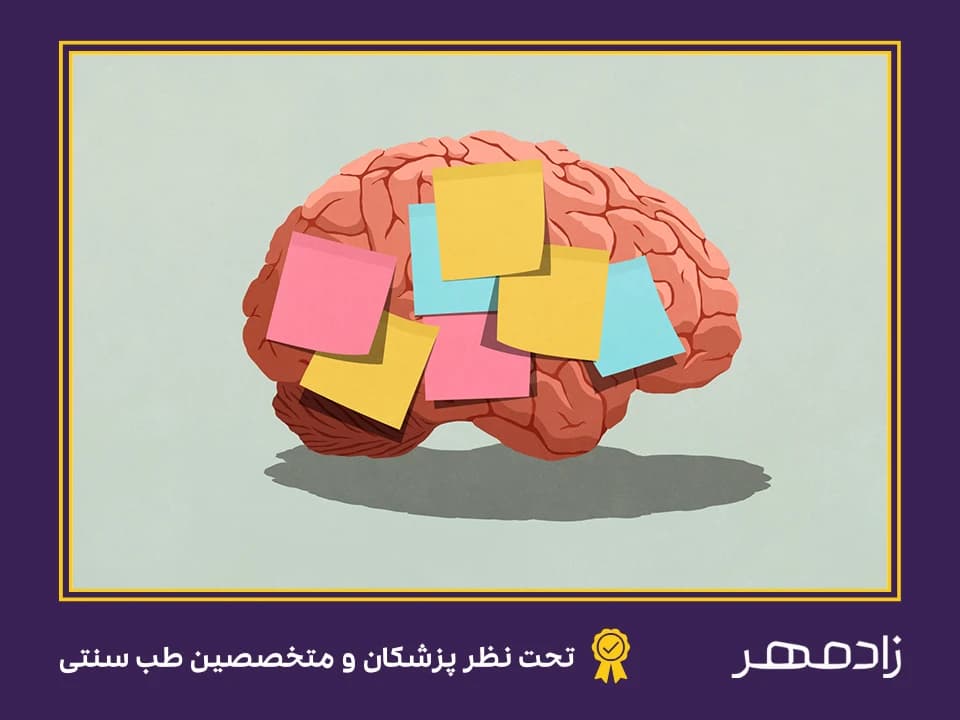 بهبود حافظه - Improve memory